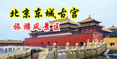 东北大操逼中国北京-东城古宫旅游风景区